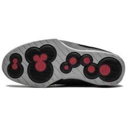 Air Jordan 20 Retro Lizard