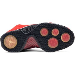 Air Jordan 21 Retro Dragon